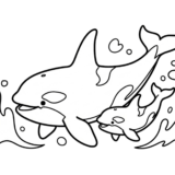 親子のシャチの塗り絵イラスト｜無料ダウンロードできる白黒フリー画像素材