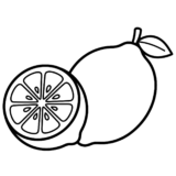 レモンと輪切りの見本イラスト｜無料 ダウンロード イラスト フリー画像 素材 背景透過