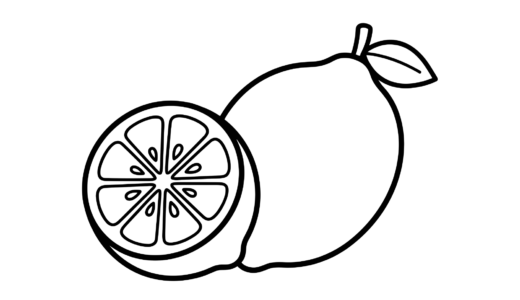 レモン（輪切り）の塗り絵イラスト｜無料ダウンロード フリー画像 素材（夏）