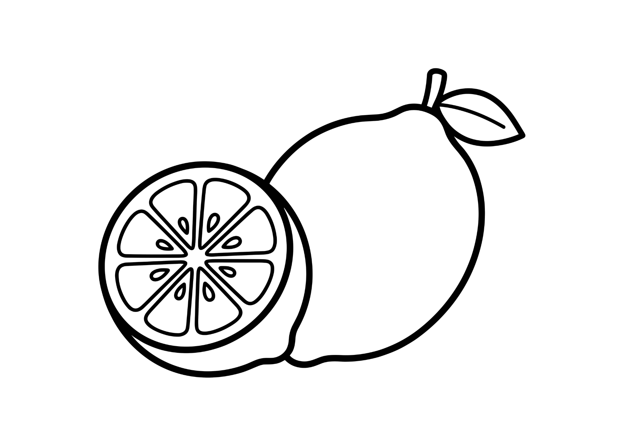 レモンと輪切りの塗り絵（白黒）｜無料 ダウンロード 塗り絵 白黒 イラスト フリー画像 素材 背景透過