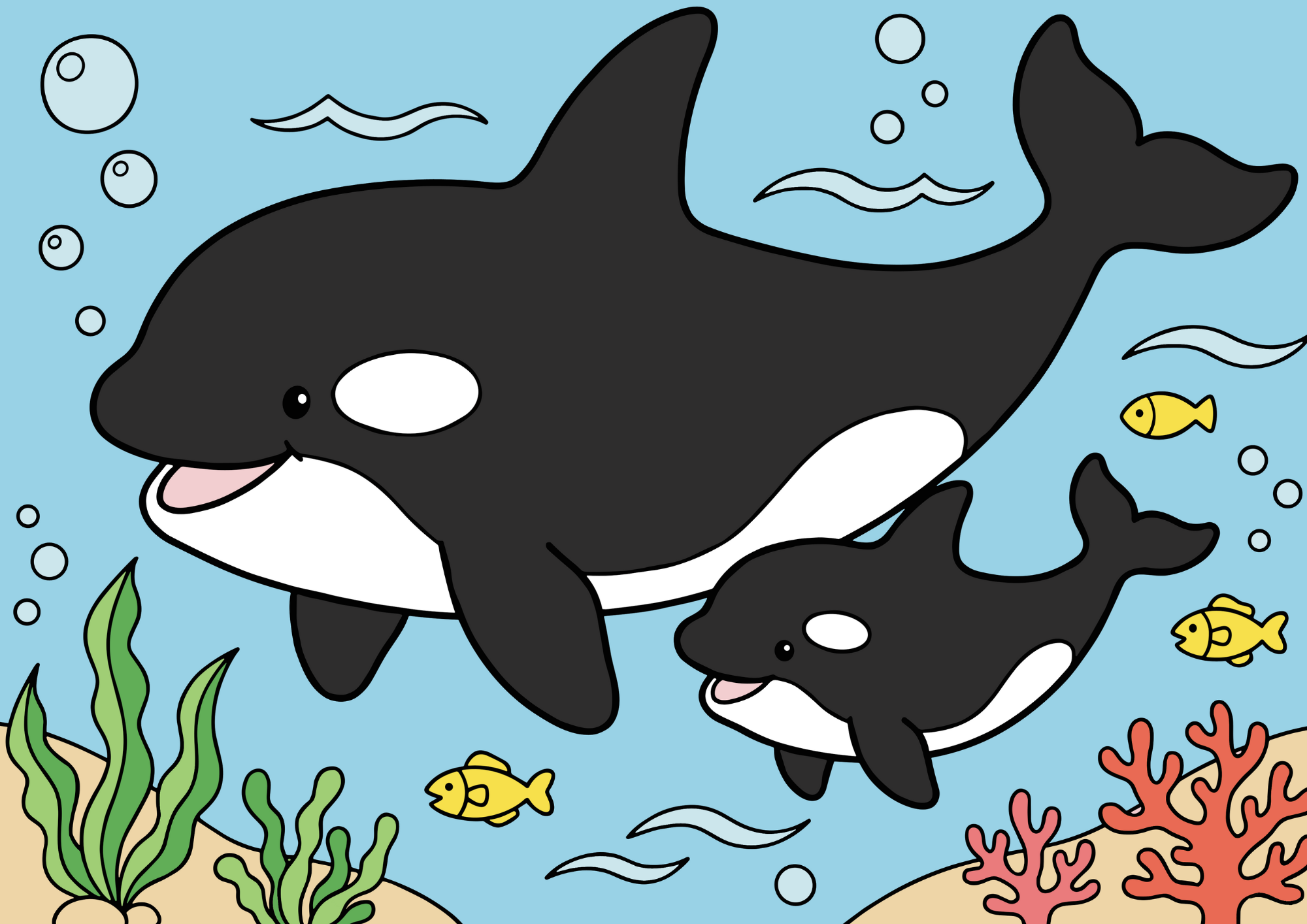 親子のシャチが海を泳ぐ無料ダウンロードできる塗り絵イラスト白黒フリー画像素材 背景透過