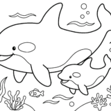 かわいい親子シャチのぬりえ｜無料で使える塗り絵イラストフリー画像素材