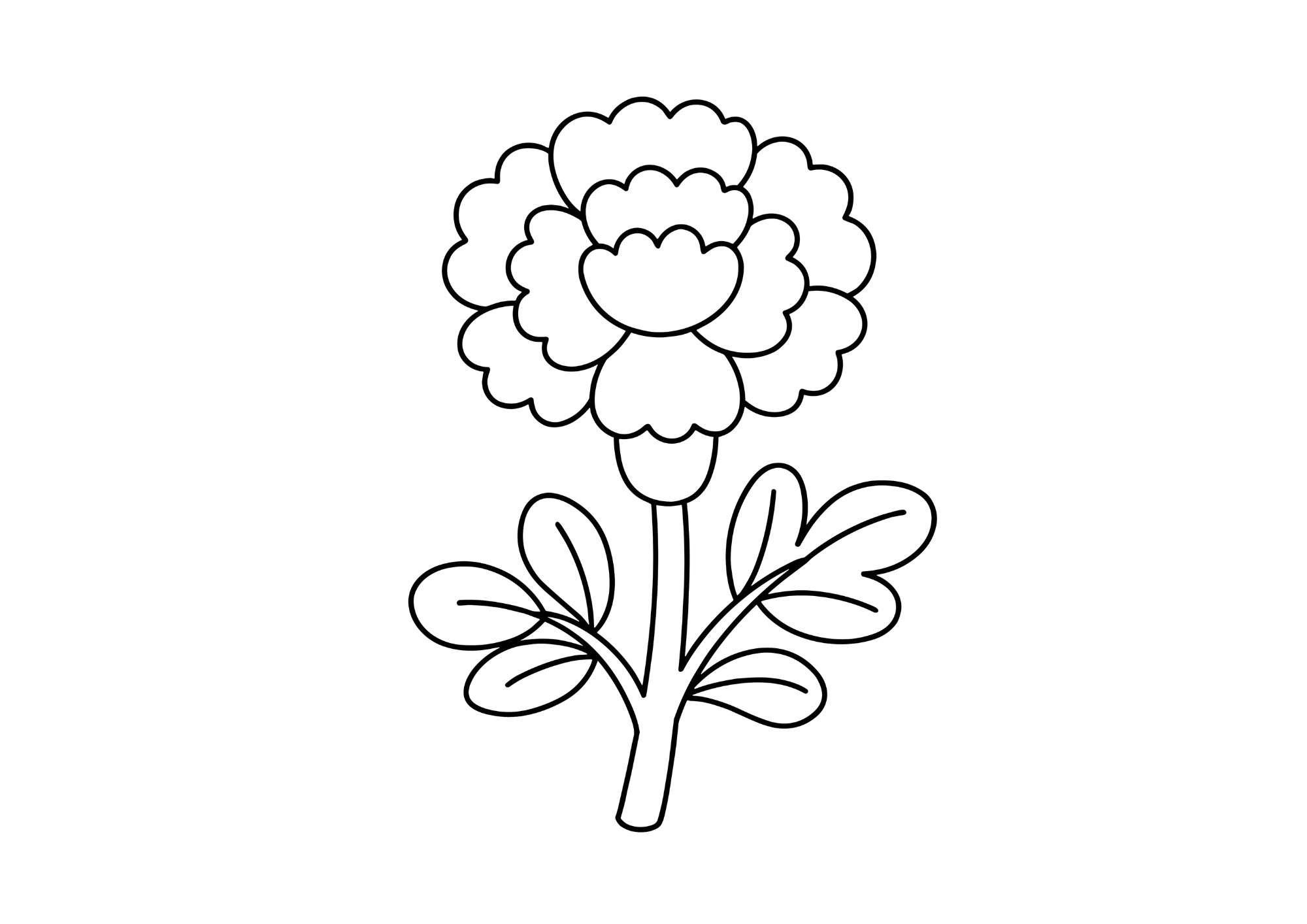 カーネーションのシンプルな塗り絵 子供向け 白黒