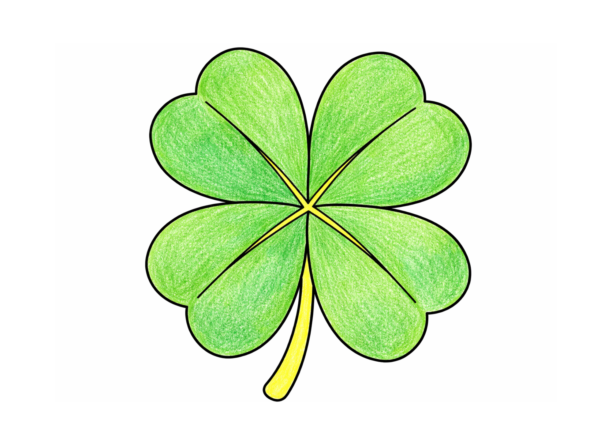 四つ葉のクローバーの塗り絵 子供向け カラー見本