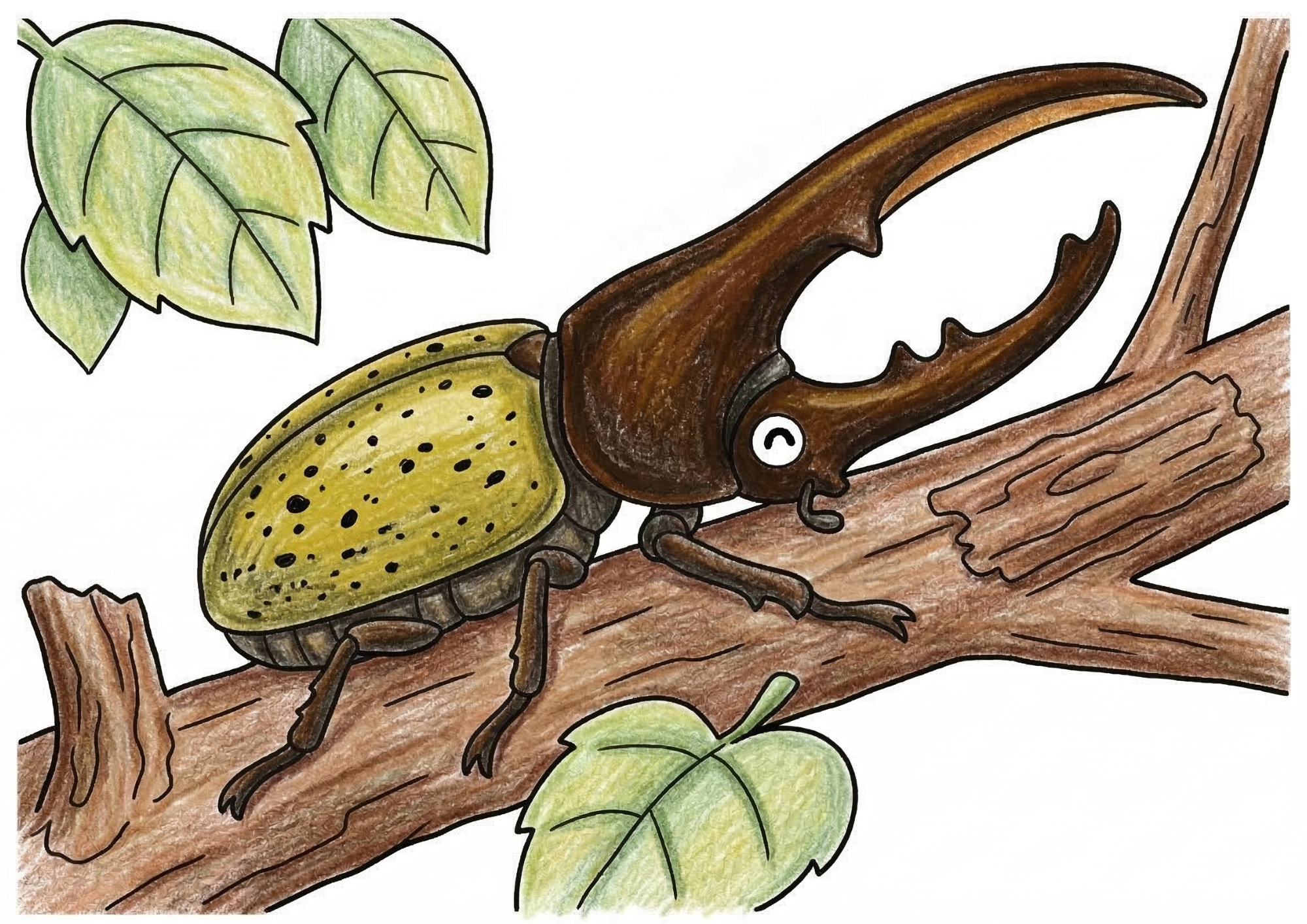 ヘラクレスオオカブトの塗り絵イラスト カラー見本 木の枝 昆虫