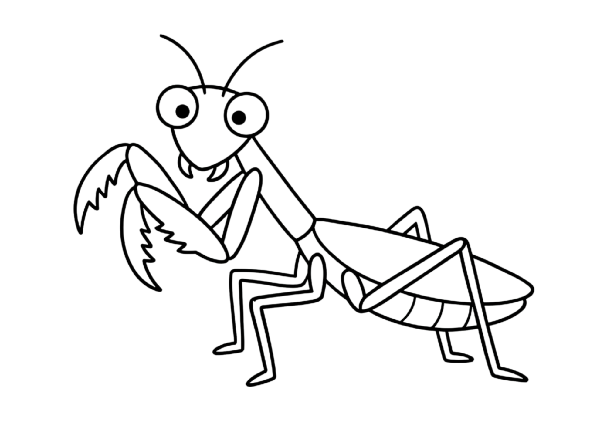 カマキリの塗り絵 白黒｜無料ダウンロード・印刷