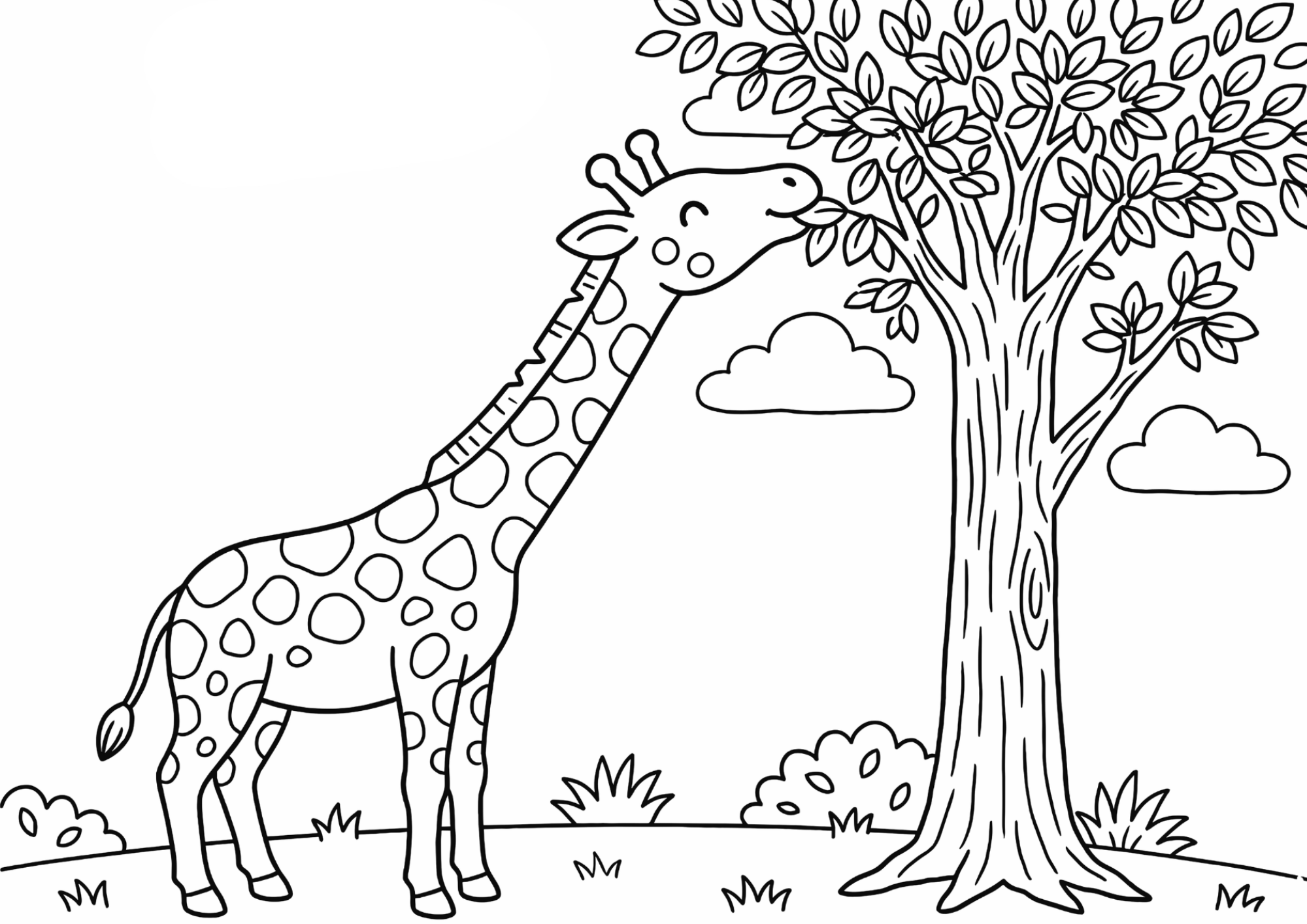 木の葉を食べるキリンの塗り絵白黒、子供向け無料印刷