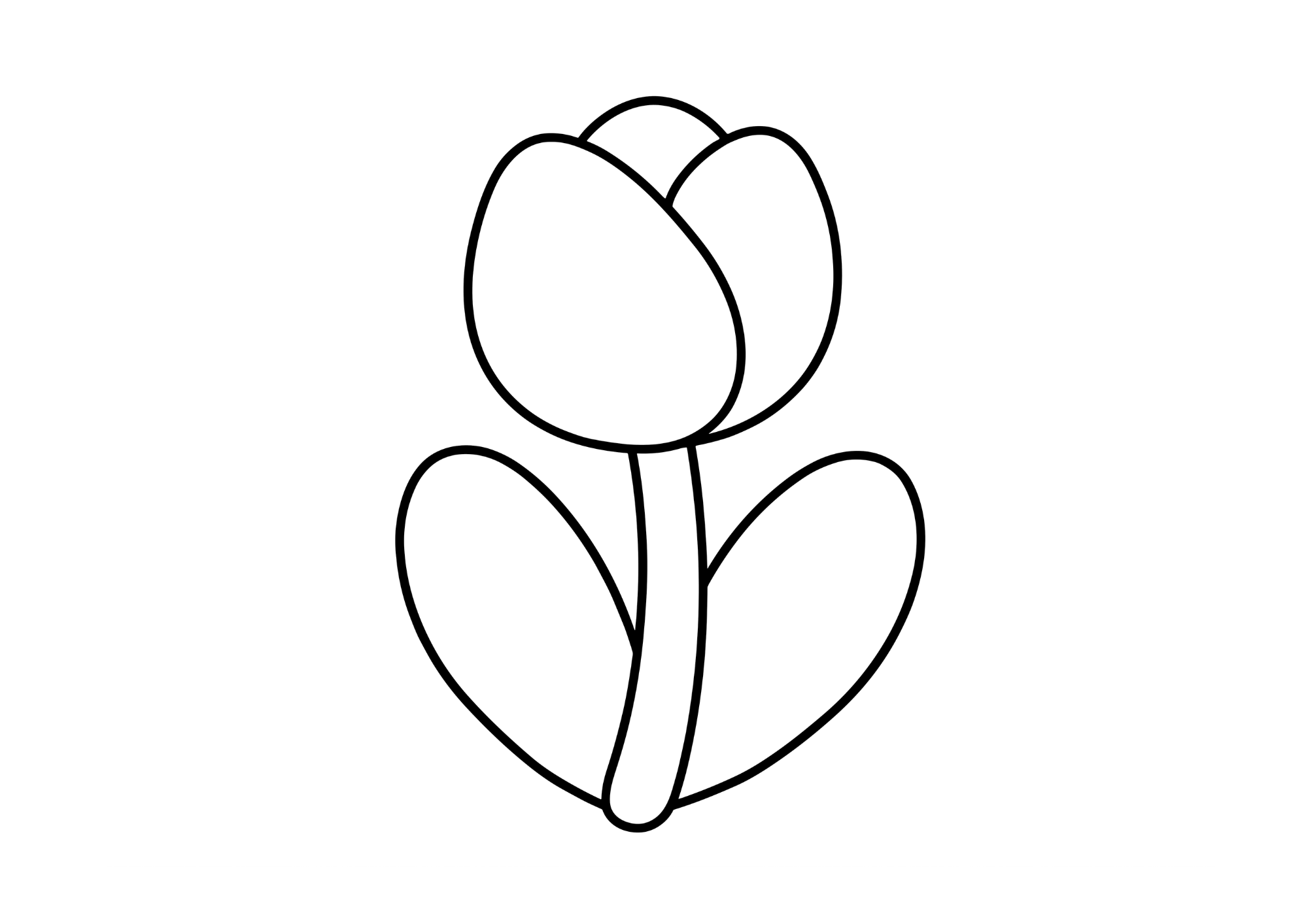 チューリップの塗り絵イラスト 白黒 無料ダウンロード 印刷用