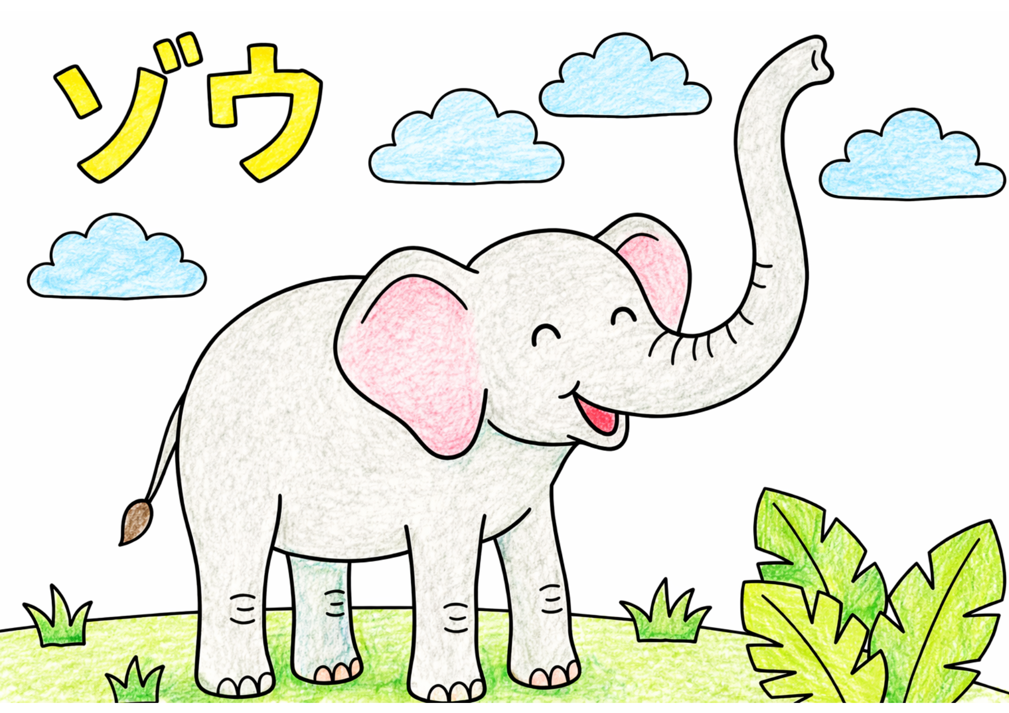 ゾウの塗り絵 全身 子供向け カラー見本