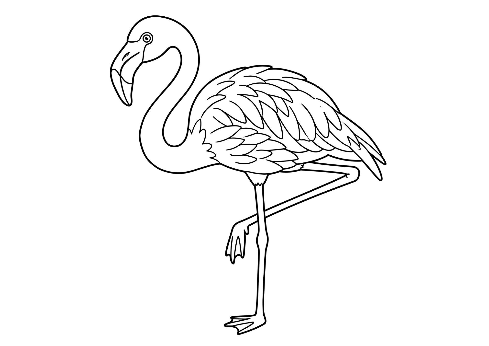 フラミンゴの塗り絵白黒、子供向け無料印刷