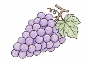 ぶどうの塗り絵カラー見本、子供向け無料イラスト