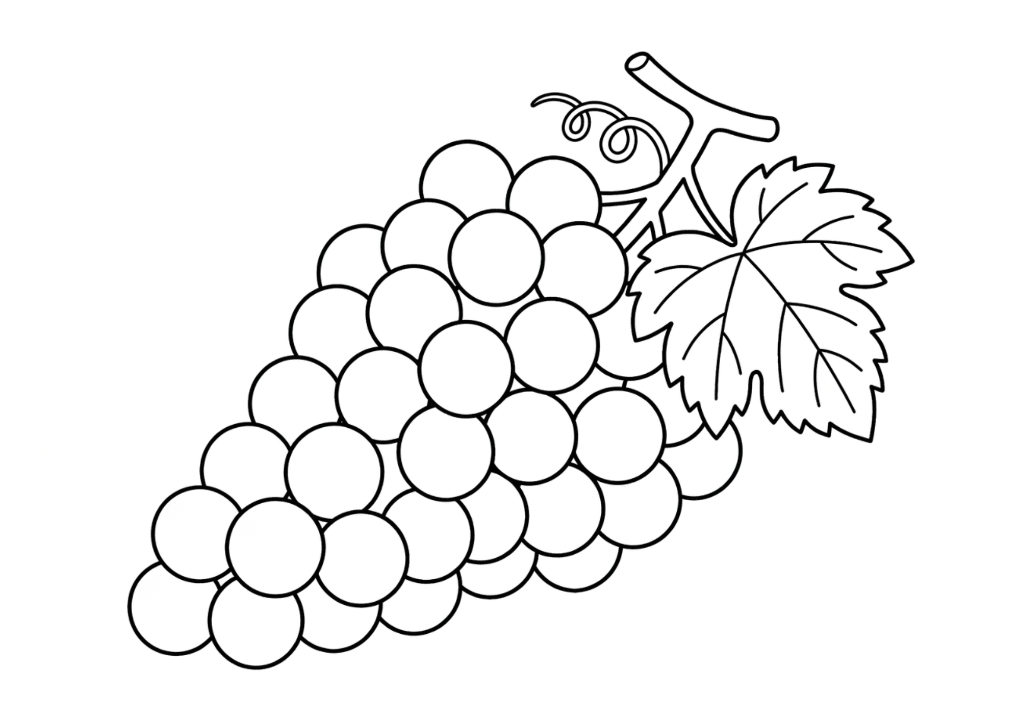 ぶどうの塗り絵白黒、子供向け無料印刷