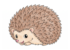 ハリネズミの塗り絵カラー見本、子供向け無料イラスト