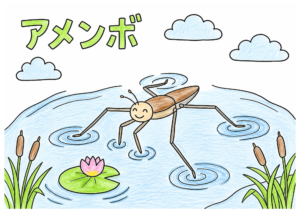 アメンボの塗り絵 カラー見本