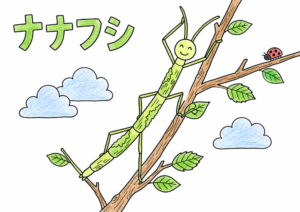 ナナフシの塗り絵 カラー見本