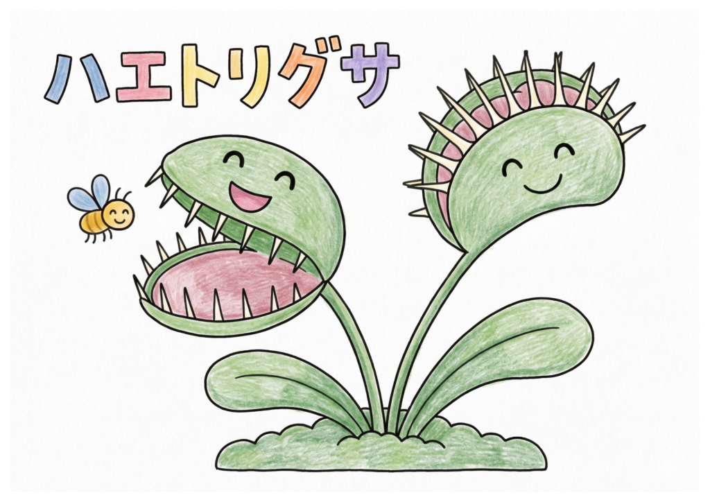 ハエトリグサの塗り絵 カラー見本