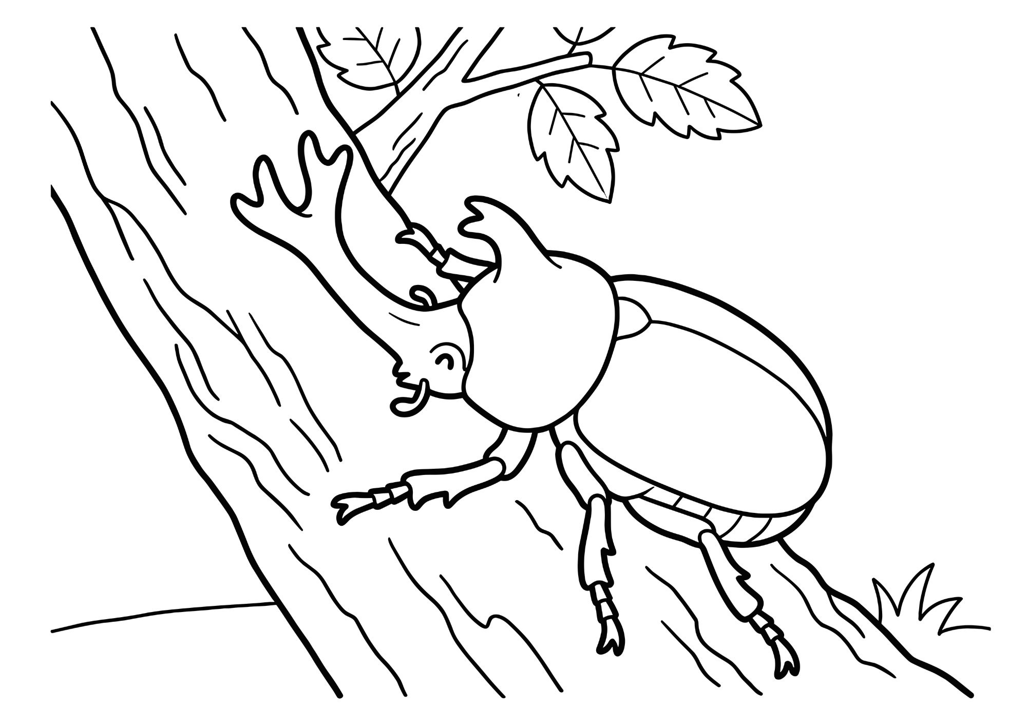 カブトムシの塗り絵 白黒