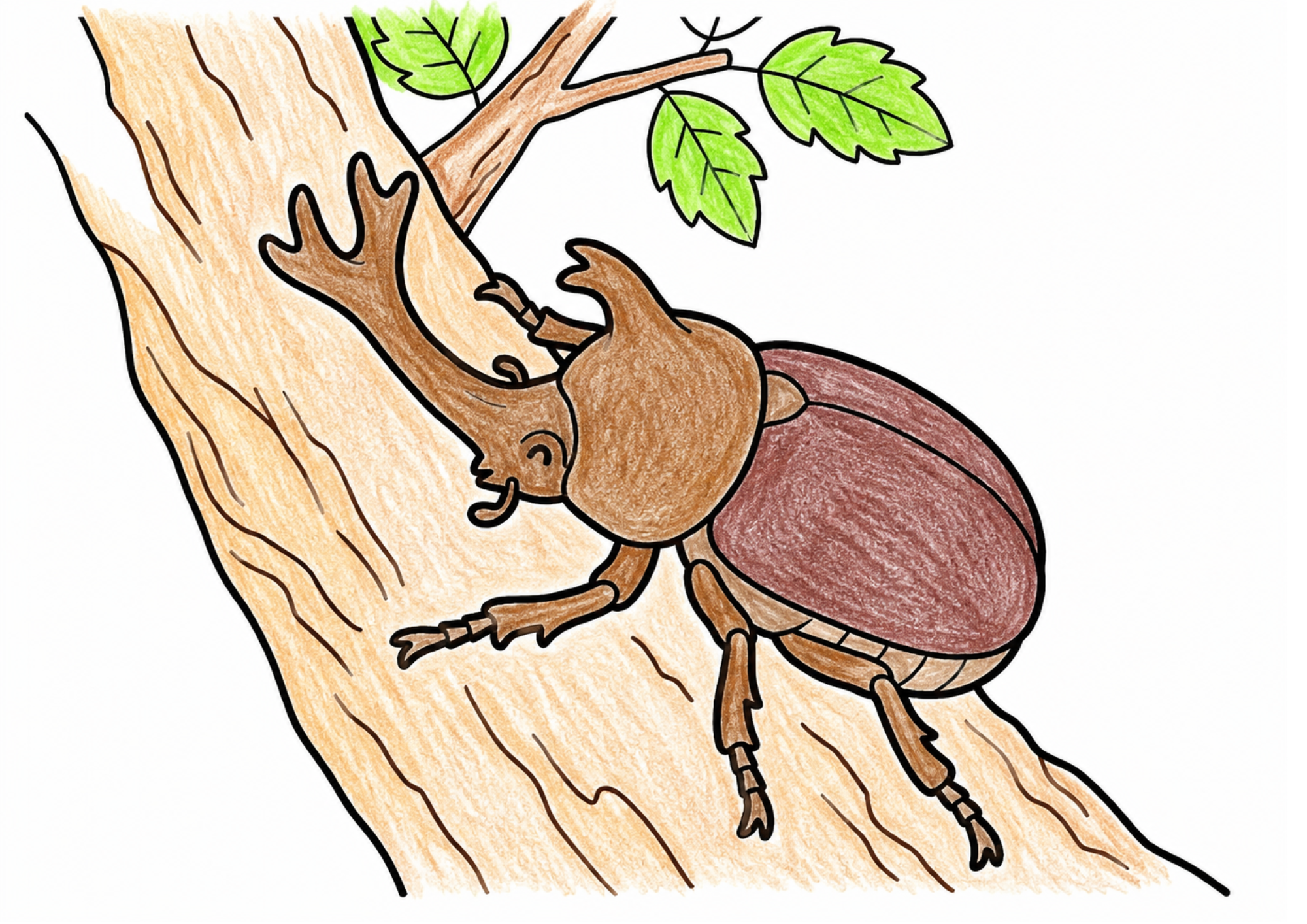 カブトムシの塗り絵 カラー見本