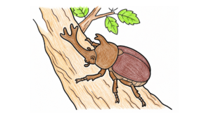 カブトムシの塗り絵 アイキャッチ