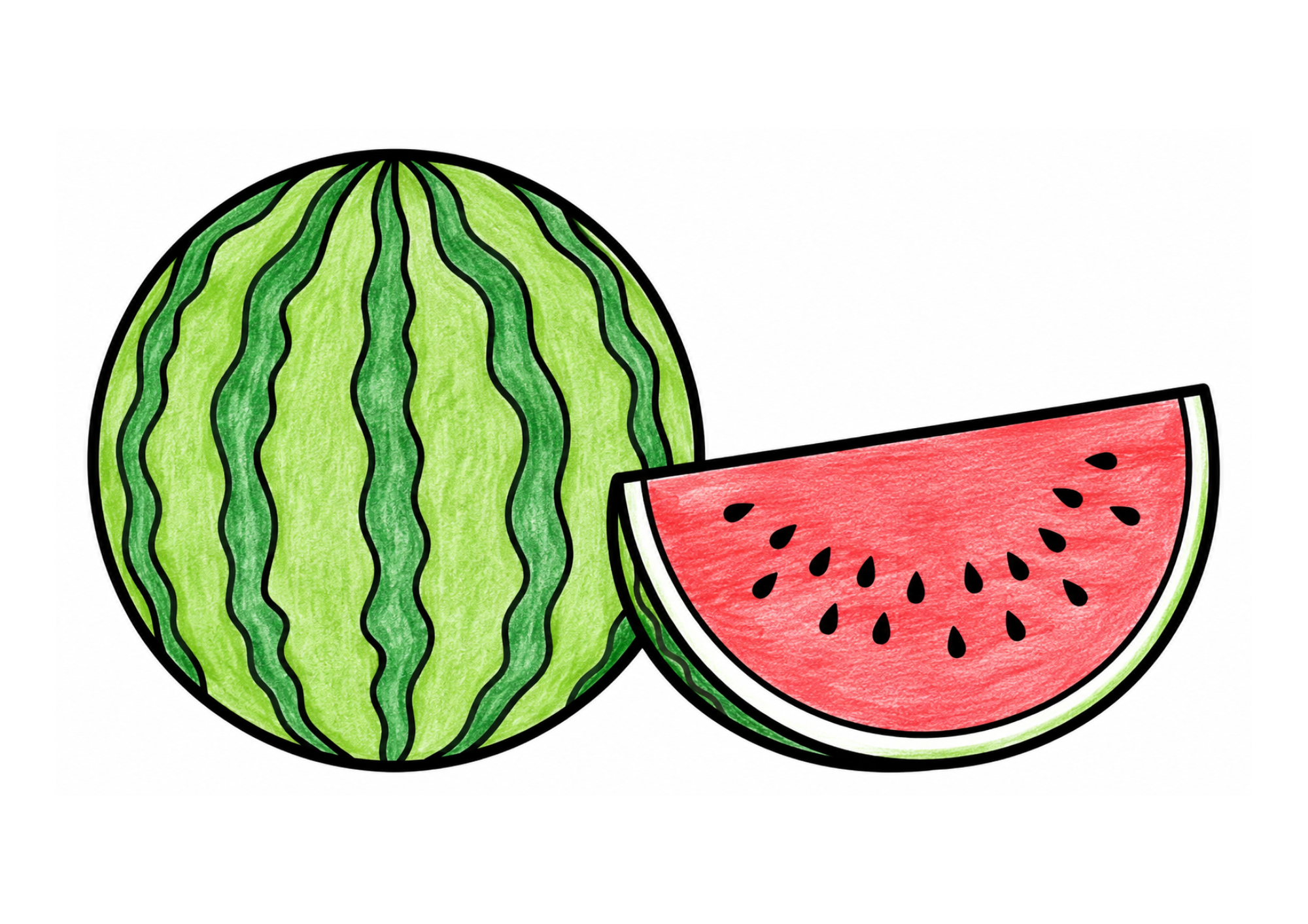 スイカの塗り絵 カラー見本